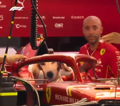 JednaRenkaJedenKaleka - pluszowy pies szybciej trafił do kokpitu ferrari niż kubica 
...