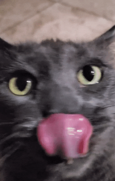 kicek3d - @PorzeczkowySok: