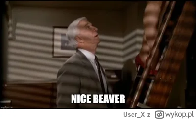 User_X - @12lat25cm: