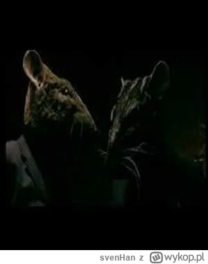 svenHan - Ratty - Sunrise (Here I am)
#trance #tranceclassic #mirkoelektronika #elekt...