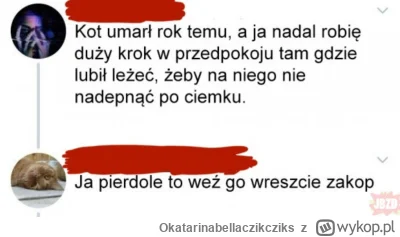 Okatarinabellaczikcziks - #heheszki #humorobrazkowy