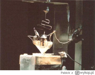 Pabick - Przypominam, że jedna z szurskich teorii głosi, że pierwszy działający tranz...