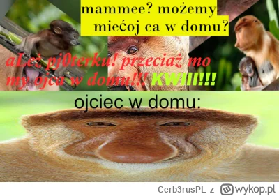 Cerb3rusPL - #konkursnanajbardziejgownianymemznosaczem 

Ponadczasowy przekaz