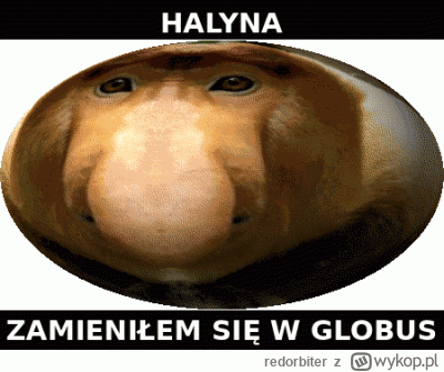 redorbiter - taka sytuacja
#konkursnanajbardziejgownianymemznosaczem