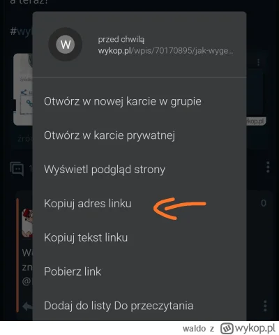 waldo - @Ramboobambo Wczoraj przy okazji linkowania z powiadomien dodali id do koment...