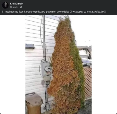 PEPELeSfont - Foliarze kolejny raz przechodzą samych siebie. 5G trochę przycichło to ...