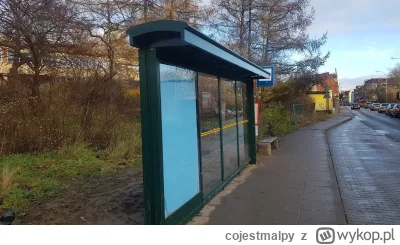 cojestmalpy - @Afrobiker:Gdansk pozdrawia (⌐ ͡■ ͜ʖ ͡■)