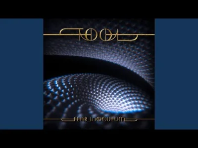 Marek_Tempe - Tool - Pneuma.
We are Spirit bound to this flesh.
go round one foot nai...