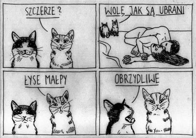 TypowyNalesnik - OSTROŻNIE śmieszne koty