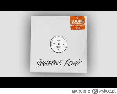 MARClN - Luude - Pachamama (feat. Elliphant) [ShockOne Remix]

#muzyka #muzykaelektro...