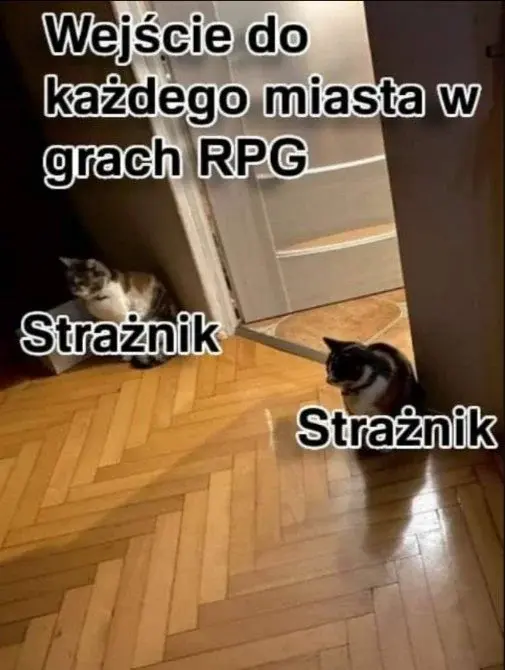 sxilll - #humorobrazkowy #memy #gry #smiesznykotek