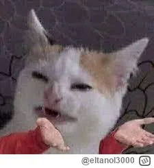 eltanol3000 - boże one sie biją o tego szczocha jak o jakiegoś mistera universe 

#ho...