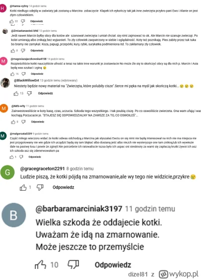 dizel81 - Dobrze tam cisną Plastikom w komentarzach odnośnie oddania kotów Kiszonkowc...