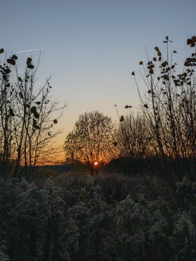 remlezar - #przegryw #spierdotrip