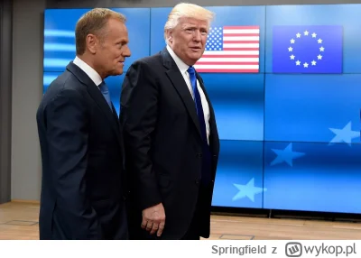 Springfield - już w przyszłym roku dwóch Donaldów oswobodzi dwa uciśnione narody ( ͡°...