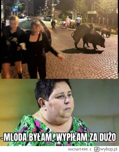 michal1498 - #heheszki