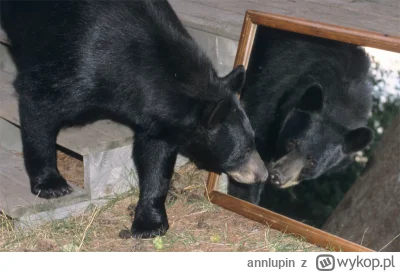 annlupin - @leonid_bialkow: @szatanEK666