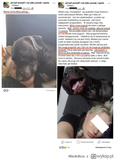 WielkiNos - @ToksycznyArek ta, wychowanie. Tu od szczeniaka nic nie dało xd