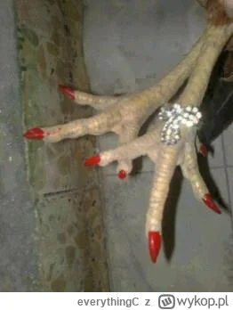 everythingC - @kyIiejenner: