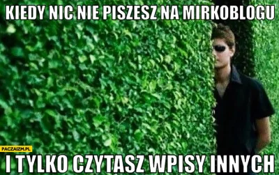 noipmezc