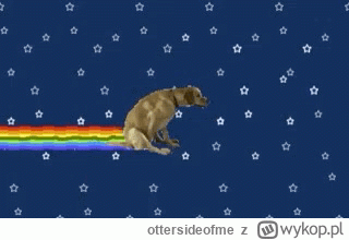 ottersideofme - @egzysta: dammm