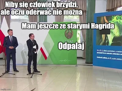 Trzesidzida - Z Rowling był niezły zwyrol skoro wymyśliła że stary Hagrida wyruchał o...