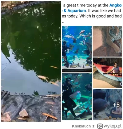 Knoblauch - #raportzpanstwasrodka Okrutny Amerykański generał, ojciec Brendy nie bier...