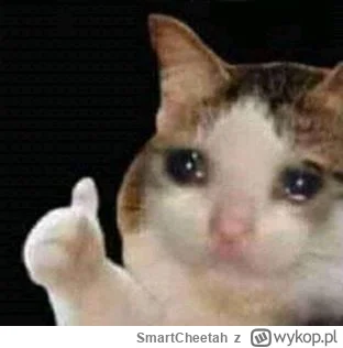 SmartCheetah - #gielda SMCI