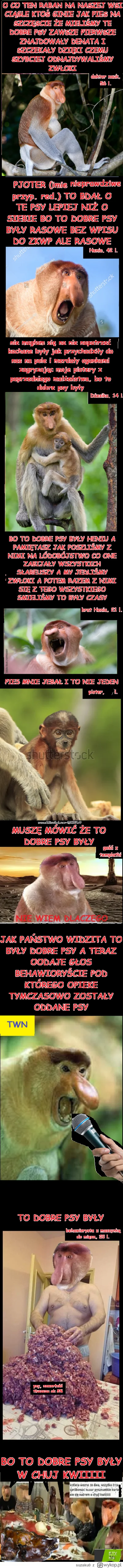 suzaku0 - #konkursnanajbardziejgownianymemznosaczem