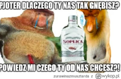 zurawinazmusztarda - @koneserprogresywnegodiscopolo: ( ͡° ʖ̯ ͡°)