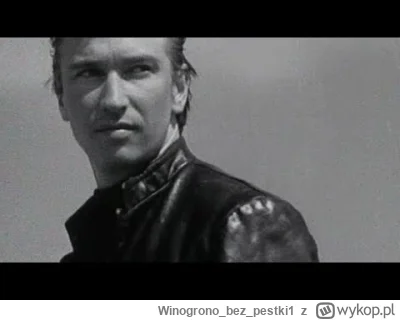 Winogronobezpestki1 - #muzyka #depechemode #80s