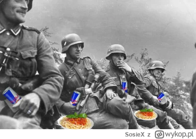 SosieX - Wychodzą na światło coraz to nowsze fakty...
#f1