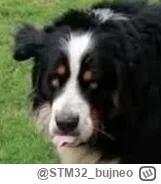 STM32bujneo - @PanGrzybek:
