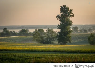 vitoosvitoos - Później już światło zbielało, ale dalej było zajebiście.