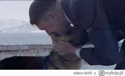 albercik90 - @KRCZVSK oho, chyba mamy oficjalnie stanowisko pracownika schroniska. Ka...