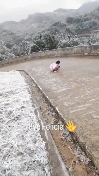 Badmadafakaa - #heheszki