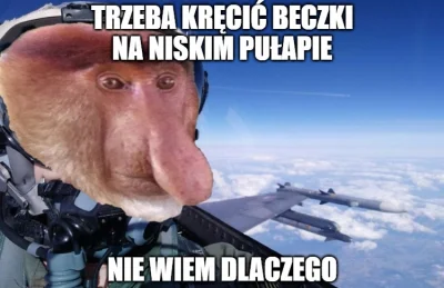 smutny_kojot - #radom #airshow #lotnictwo #samoloty #wojsko #konkursnanajbardziejgown...