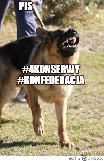 afc85 - oczywiście w zakopach pełno konfairzy
tfu konfedepis