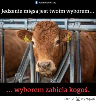 ExE1 - #wykopefekt
    #mecz
    #pdk
    #heheszki
    #polska
    #muzyka
    #pyta...