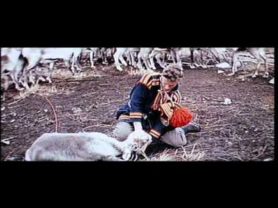 STALKER - @cl19: @patryk-wuwuw @Camaxtle @ProfessorOfLogic @ButelkowyAntagonista @kon...