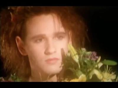 hugoprat - This Mortal Coil - Kangaroo
#muzyka #80s #muzykaalternatywna #muzykanieza...