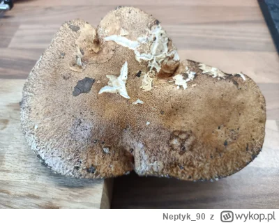 Neptyk90 - @Neptyk90: