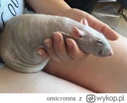 omicronns - @cytr0netx99 Odmawiam odpowiedzi.