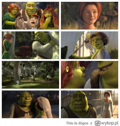 This-Is-Bigos - pomijajac aspekt tego, ze w shrek 5 sam shrek wyglada jakby urodzil s...