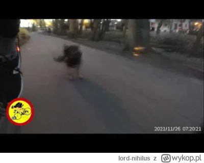 lord-nihilus - >a jednak za granicą ktos to nagrywa, a u nas nie?

@Hmrogrz: bo nagry...