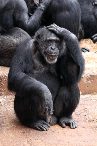 Soothsayer - kolejny dzień myślenia