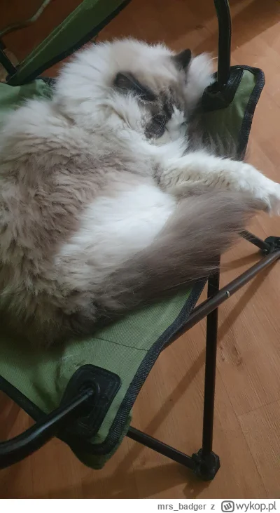 mrs_badger - @MrMas same here, totalna wyjebka ( ͡º ͜ʖ͡º)