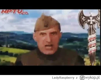 LadyRaspberry - @shredded ja za kazdym razem, gdy widzę jak te bezbeckie dziennikarzy...