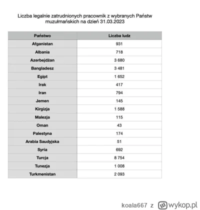 koala667 - @Orlenc: W Polsce na rok 2023 mamy około 33 000 imigrantów z krajów muzułm...