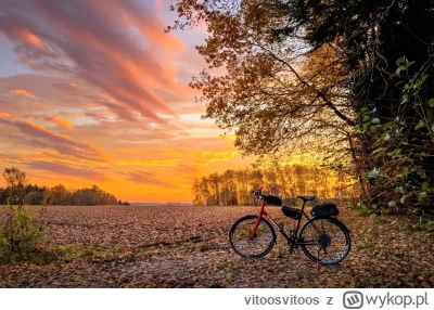 vitoosvitoos - @ryoku88 na rowerze pojeździć